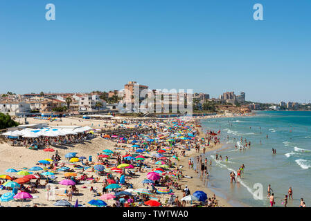 Besetzt Mittelmeer Strand von Playa Mil Palmeras, Pilar de la Horadada, Alicante, Spanien, Europa. Bunte Sonnenschirme, blauer Himmel und Meer. Costa Blanca Stockfoto