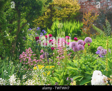 Eine große Auswahl an Sommer blühende Pflanzen in einem Englischen Garten während der Sommermonate, England, UK, GB. Stockfoto