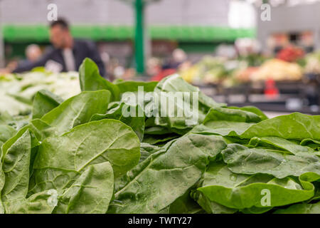 Stapel der frischen grünen Mangold Blätter auf dem Markt in Belgrad. Unscharfe Verkäufer und Kunden auf dem Hintergrund. Stockfoto