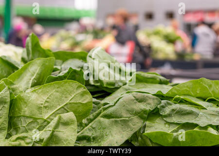 Stapel der frischen grünen Mangold Blätter auf dem Markt in Belgrad. Unscharfe Verkäufer und Kunden auf dem Hintergrund. Stockfoto