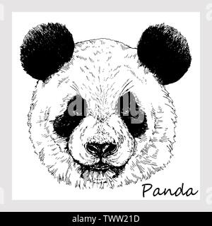 Handskizze stil Portrait von Panda auf weißem Hintergrund dargestellt. Vector Illustration. Stock Vektor