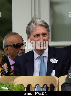 Windsor Great Park, Egham, Surrey, Großbritannien. 23. Juni 2019. Die Rt Hon Philip Hammond besucht die Outsourcing! Inkl Royal Windsor Cup Turnier an Guards Polo Club. Credit: Maureen McLean/Alamy leben Nachrichten Stockfoto