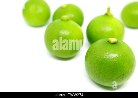 Closeup pulsierende grüne Limetten auf weißem Hintergrund Stockfoto