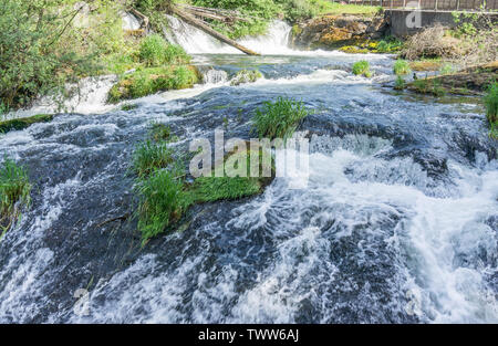 Eine Ansicht vom hinteren am Tumwater fällt in Tumwater, Washington. Stockfoto