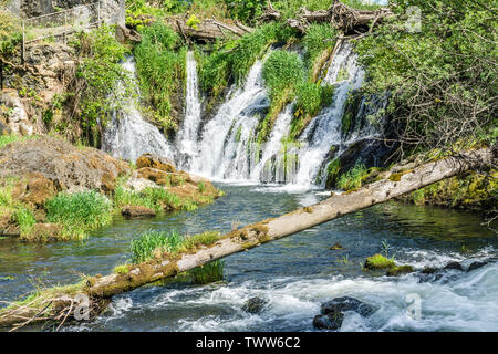 Eine Ansicht vom hinteren am Tumwater fällt in Tumwater, Washington. Stockfoto