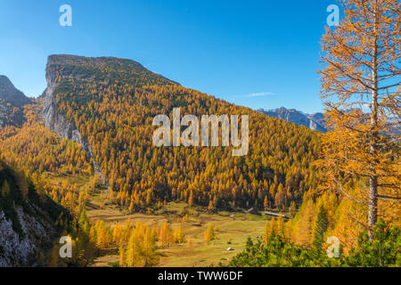 Schrägen Berg erhebt sich aus einem ruhigen Wiese, gelb Wald rund um einer Berghütte. Herbstfarben, Herbst Laub in den italienischen Alpen. Stockfoto