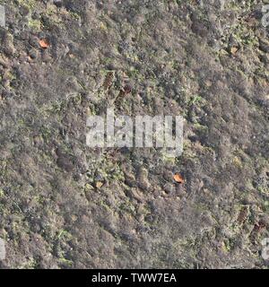 Sehr detaillierte nahtlose Textur muster von Hektar Boden und Schmutz in hoher Auflösung Stockfoto