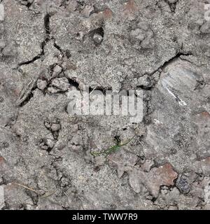 Sehr detaillierte nahtlose Textur muster von Hektar Boden und Schmutz in hoher Auflösung Stockfoto