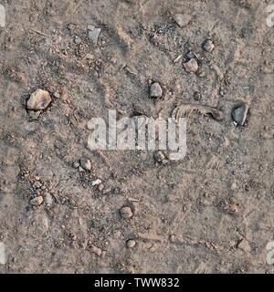 Sehr detaillierte nahtlose Textur muster von Hektar Boden und Schmutz in hoher Auflösung Stockfoto