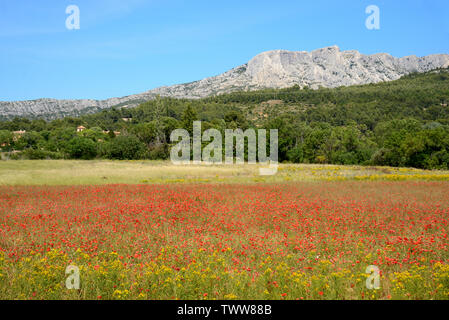 Mont Sainte-Victoire und Mohnfeld bei Beaurecueil in der Nähe von Aix-en-Provence Provence Frankreich Stockfoto