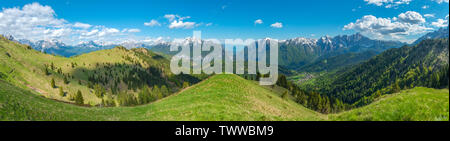 Blick von der grasigen Grat eines Baumes bedeckt Tal abfallenden ganz nach Belluno Alpen. Sommer Wandern in der grünen Vegetation auf der Piste. Stockfoto