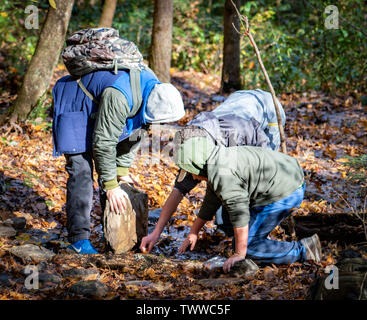 Jugendliche in einer Klasse lernen über den Fang von Salamander dreht über die Felsen der Salamander zu finden. Stockfoto