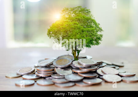 Geld Wachstum spart Geld. Oberen baum Münzen gezeigt Konzept für wachsende Unternehmen Stockfoto