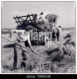 WW2 FRAUEN LAND ARMY UK Food Production Harvesting at Mount Barton, Devon, England, 1940s Land Girls helfen einem Landwirt, geernteten Hafer in den Sonnenschein von Hollow Moor, Devon, in einen Lastwagen zu laden.1942 Woman's Land Army. Die WLA arbeitete während des Zweiten Weltkriegs an der Versorgung mit Lebensmitteln Stockfoto