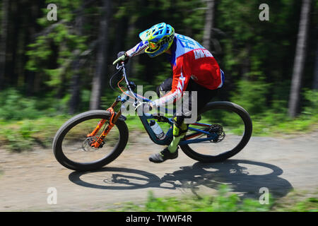 Mountainbike Downhill in den Wäldern des Harzes Geschwindigkeitsüberschreitungen, Deutschland. Bunte Sport Outfit mit Helm und Schutzbrille. Stockfoto