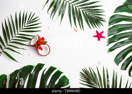 Von tropischen Palmen Blätter und Muscheln und Kokosnüsse auf weißem Hintergrund. Sommer Konzept Stockfoto