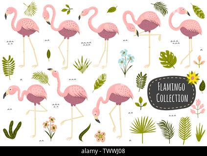 Flamingos und Pflanzen tropische Sammlung. Eingestellt von isolierten Elementen. Vector Illustration Stock Vektor