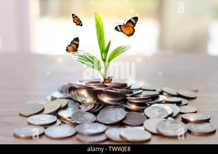 Geld Wachstum spart Geld. Oberen baum Münzen gezeigt Konzept für wachsende Unternehmen Stockfoto