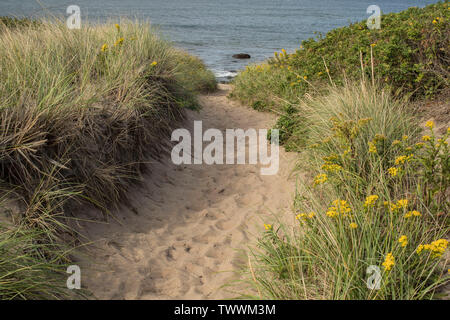 Dorry's Cove ist auf der Westseite der Insel, auf dem Atlantischen Ozean. Sandstrände, etwas isoliert oder Private. Schönen Täuschungen, Pfade mit Blick aufs Wasser. Stockfoto