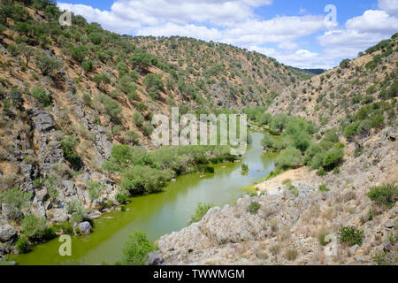 Salor River. Taejo International Park. Der Extremadura. Spanien. Stockfoto