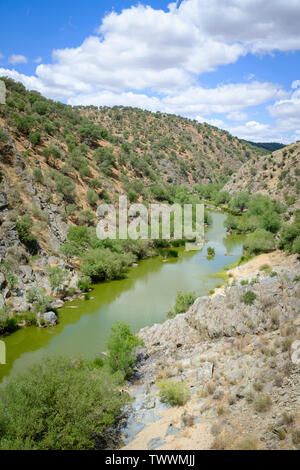 Salor River. Taejo International Park. Der Extremadura. Spanien. Stockfoto