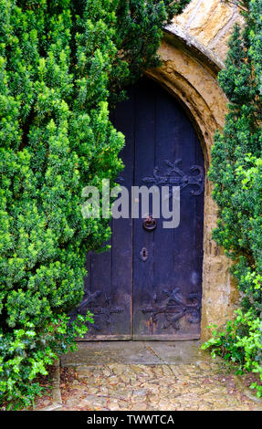 Farbe Bild einer Eibe abgedeckt Tür, St. Maria Kirche, Netherbury, Dorset, Großbritannien - Johannes Gollop Stockfoto