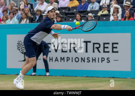 Queens Club, London, Großbritannien. 23. Juni 2019. Die ATP Tennis Turnier Fever-Tree; Andy Murray (GBR) in Aktion gegen Rajeev Ram (USA) und Joe Salisbury (GBR) Credit: Aktion plus Sport/Alamy leben Nachrichten Stockfoto