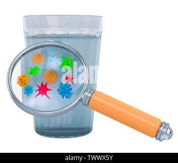 Glas Wasser mit Viren und Bakterien unter der Lupe. 3D-Rendering Stockfoto