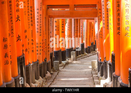 KYOTO, JAPAN - Mai 06, 2019: Orange Torii tor Tunnel am Fushimi Inari-Taisha Shrine mit Morgensonne im Frühjahr Stockfoto