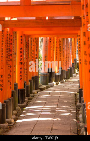 KYOTO, JAPAN - Mai 06, 2019: Orange Torii tor Tunnel am Fushimi Inari-Taisha Shrine mit Morgensonne im Frühjahr Stockfoto