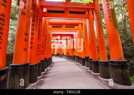 KYOTO, JAPAN - Mai 06, 2019: Orange Torii tor Tunnel am Fushimi Inari-Taisha Shrine mit Morgensonne im Frühjahr Stockfoto