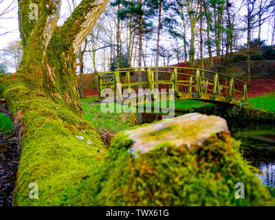 Eine kleine Holzbrücke erstreckt sich über Sherborne Bach, durch den Windrush Tal, in der berühmten und malerischen Cotswolds UK läuft. Stockfoto