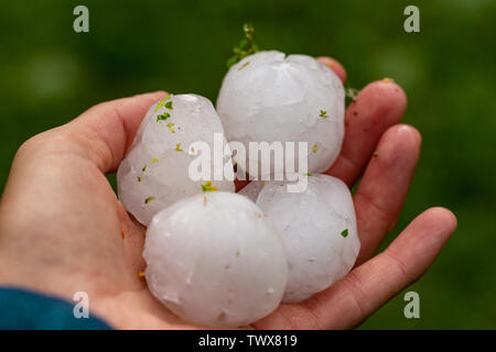 Großer Hagel nach einem schweren Gewitter in der Hand einer jungen Frau Stockfoto