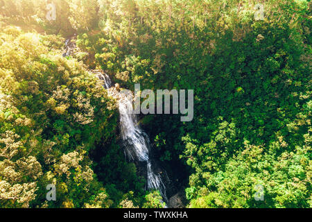 Antenne drone Ansicht von remote Alexandra fällt in Black River Nationalpark auf der Insel Mauritius. Getönten Bild. Stockfoto