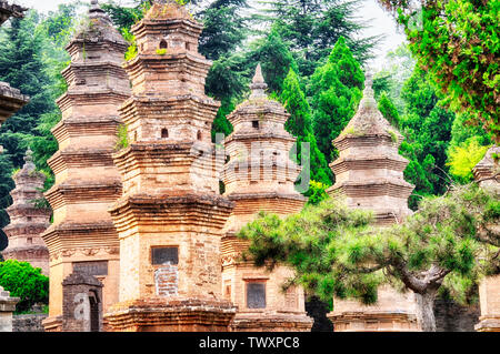 Die alten Talin buddhistischen Pagode Wald in der Nähe des Shaolin Tempel in der Stadt Dengfeng in der Provinz Henan in China. Stockfoto