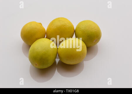 Freshn reife, gelbe Limes, Bündel von frischen Limetten auf weißem Hintergrund. Stockfoto