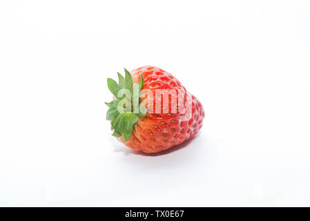 Eine Erdbeere auf weißem Hintergrund Stockfoto