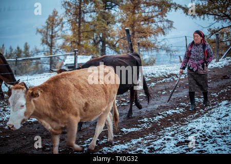 Bai haba Dorf Landschaft im Norden von Xinjiang Stockfoto