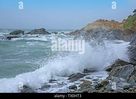 Eine Gruppe von Bildern der Seele auf das Meer Stockfoto