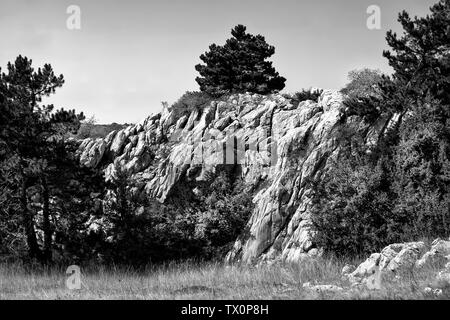 Kiefer auf der Spitze des Felsens. Reserve, Berg Ai-Petri. bw Stockfoto