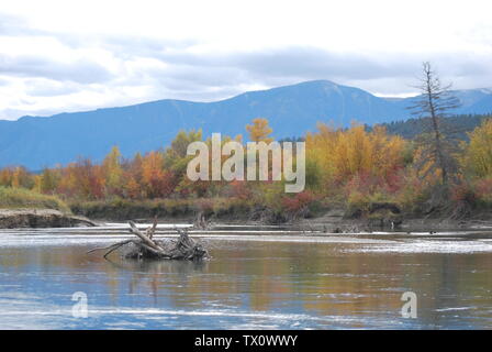 Farben der Herbst in der sanften Strömung des Columbia River, BC, Kanada widerspiegeln Stockfoto