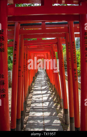 Rote Torii Gates im Nezu Schrein form Korridore der Eingangsbereich Mark und symbolischen Übergang von der irdischen Welt, eine Heilige Stockfoto