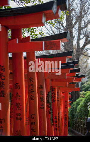 Rote Torii Gates im Nezu Schrein form Korridore der Eingangsbereich Mark und symbolischen Übergang von der irdischen Welt, eine Heilige Stockfoto