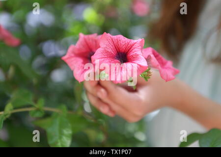 Kinder die Hände halten petunia Blumen im Park Stockfoto