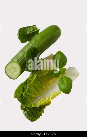 Frische Leiter der chinesischen Napa cabbage mit Gurke, Basilikum und Spinatblätter auf Weiß für einen gesunden Sommer Salat isoliert Stockfoto
