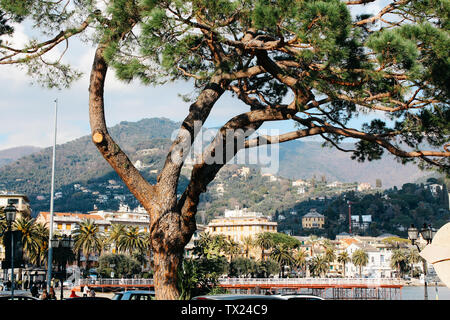 Rapallo, Italien - 03 27 2013: Blick auf die Straßen von Rapallo Stockfoto