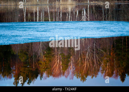 Schönen Frühling Abend am See Saebyvannet in Våler Kommune, Østfold, Norwegen. Der See ist ein Teil des Wassers, das System namens Morsavassdraget. April, 2011. Stockfoto