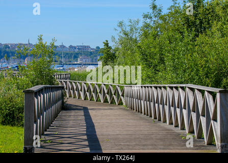 Promenade an der Cardiff Bay Nature Reserve, Cardiff, South Wales, Großbritannien Stockfoto