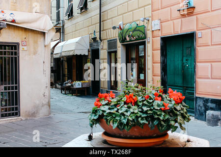 Rapallo, Italien - 03 27 2013: Blumen im Topf. Blick auf die Straßen von Rapallo. Stockfoto