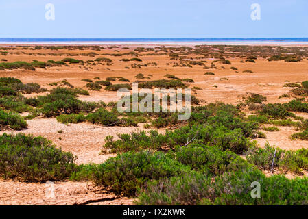 Landschaft mit trockenen geknackt takir Boden in Halbwüste in Russland Stockfoto